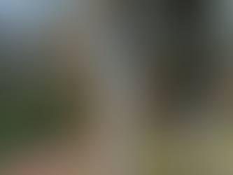 Endlich auf dem richtigen Weg 🙈