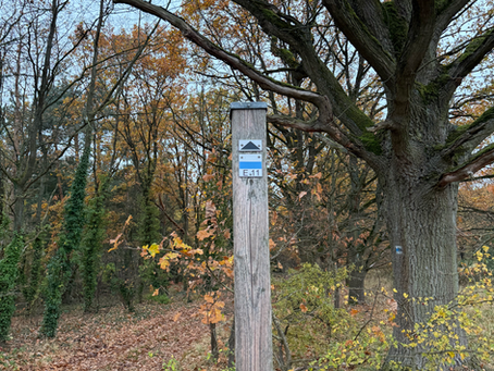 Endlich auf dem richtigen Weg 🙈