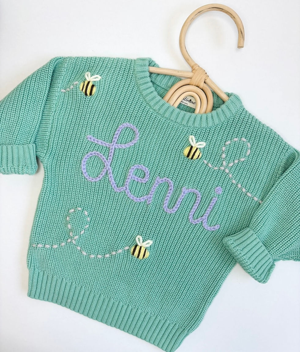 Thumbnail: Sweater with name + insects with flight trail