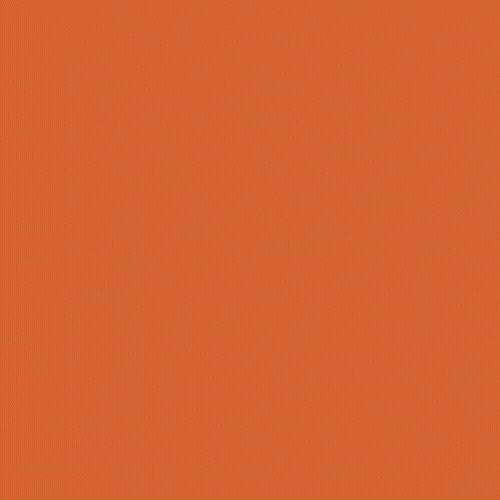 10.gif