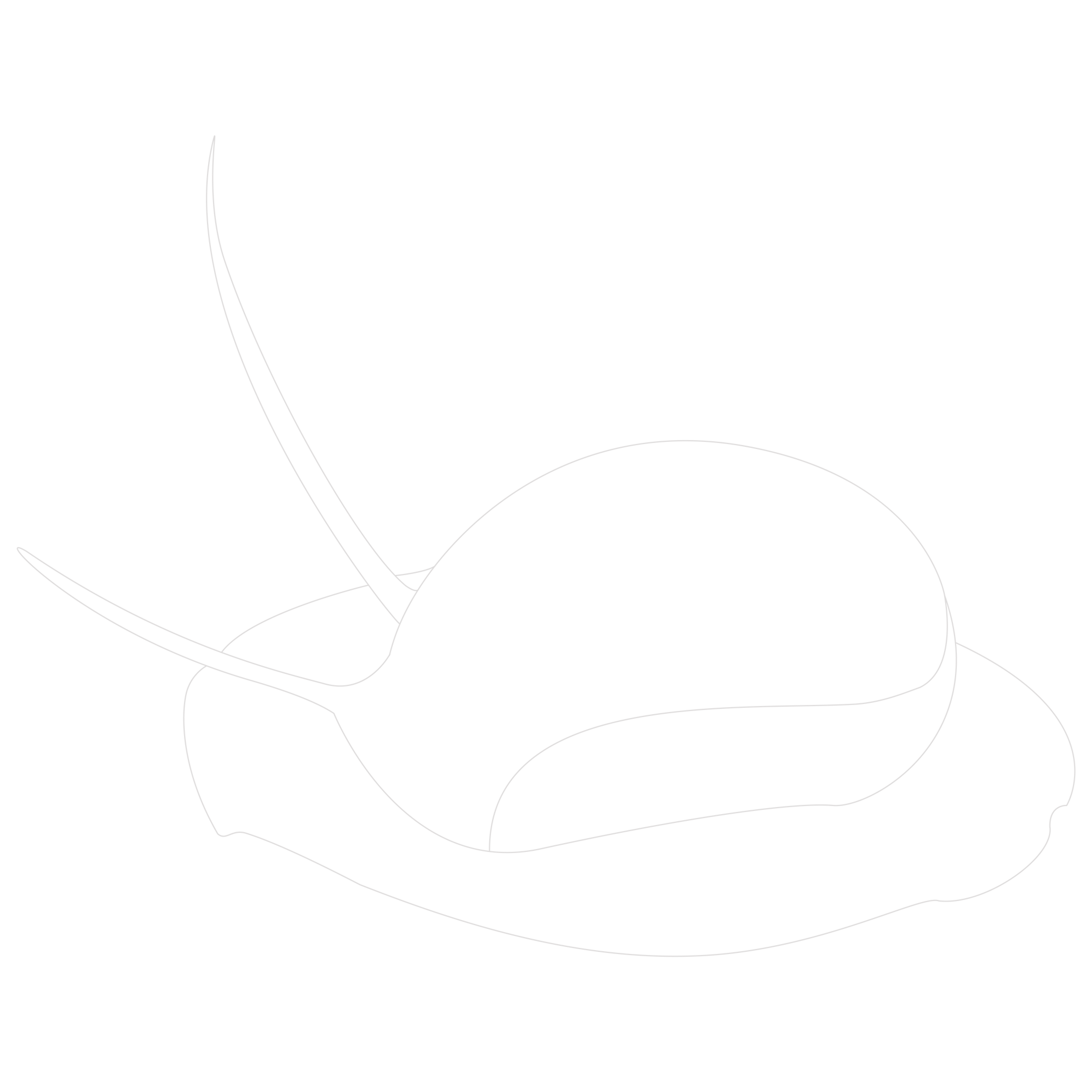 Product Label Design Sea Snail