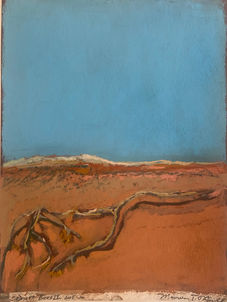 Desert Bones IV, 2025-26
(Acquired)
Pastel on archival paper
Framed with UV glass
12.5 x 15 inches framed
$725