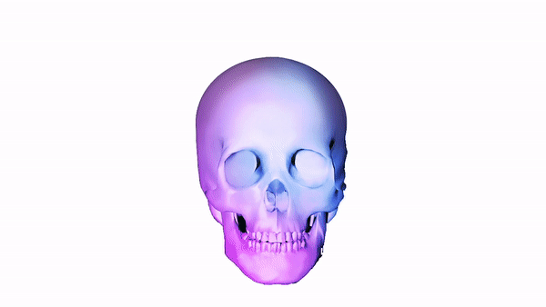 skull front.gif