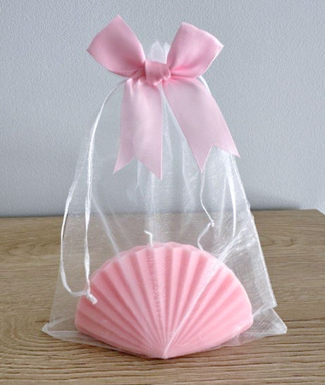 Organza geschenkzakje (17 x 23 cm)