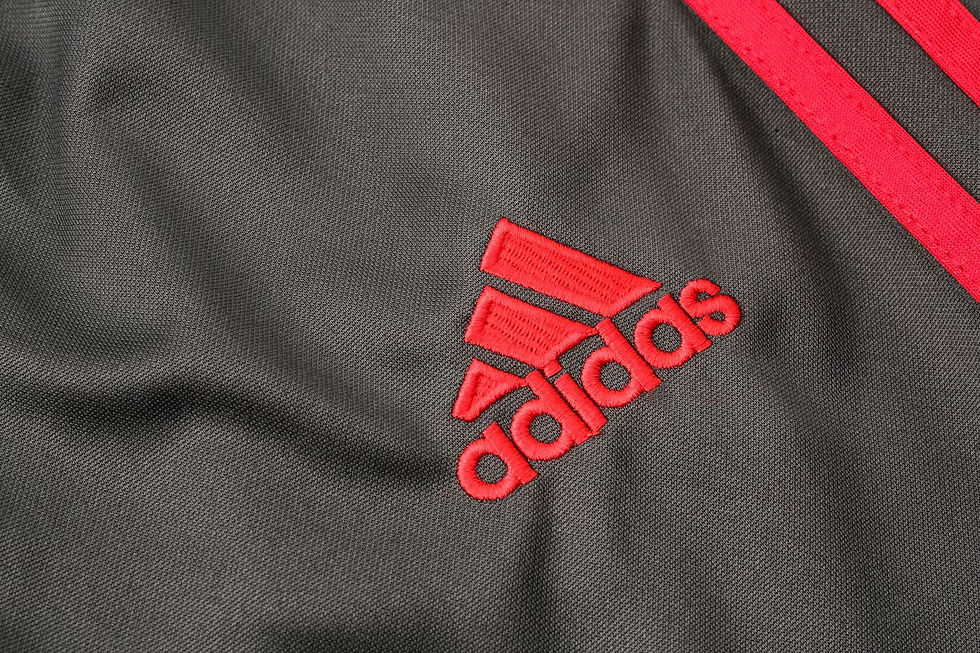 Miniatura: Bayern Munich 18/19 training suit - Chaqueta azul - gris