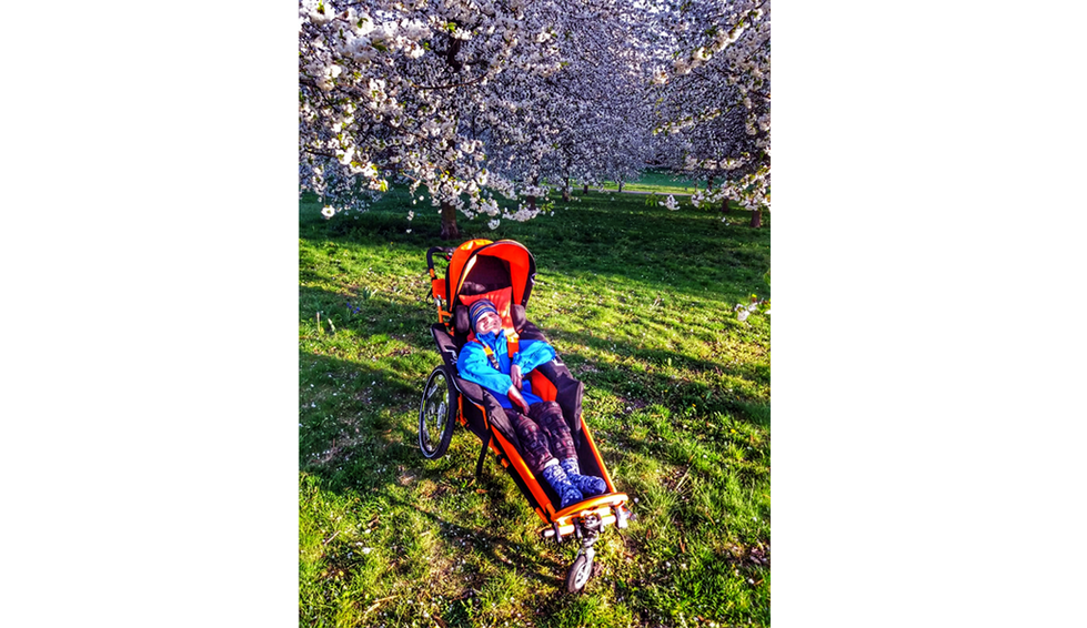 IMG-spring