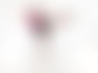 Parker Ballet Photo Shoot