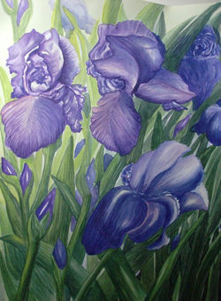 watercolour, _Purple Pretties_.jpg