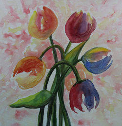 Multi-colour Tulips