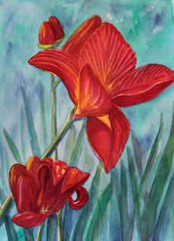 Brilliant Red Lilies on Aqua