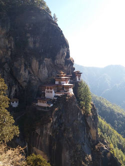 WhatsApp Image 2018-05-09 at 2.46.34 PM.jpeg