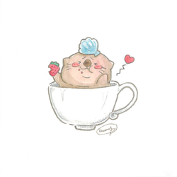 らっこくん