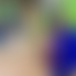 What has been your favourite part of the Canada Games?