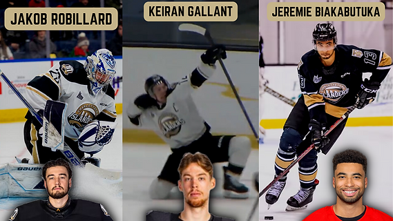 Protect The Bridge Logo (7).png