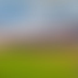 Oyster Bed Speedway announces 2024 schedule