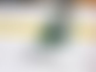 UPEI Panthers hockey rookie looking to make a name for himself