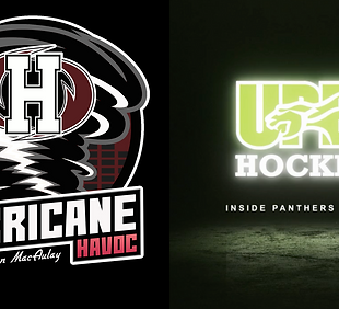 Protect The Bridge Logo (35).png