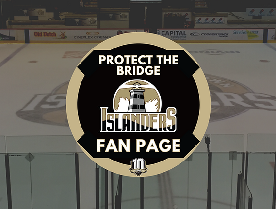 Protect The Bridge Logo (2).png