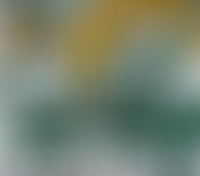 SECOND HALF PREVIEW: Young Panthers squad poised to make playoffs