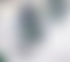 Panthers enter final stretch before playoffs seeking home ice advantage