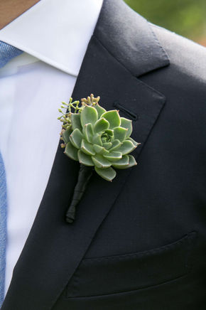 A close-up of a groom's succulent boutonniere on his jacket lapel.