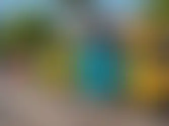 5 Unique Ideas for Employee Appreciation Day 2025 That Will Wow Your Team