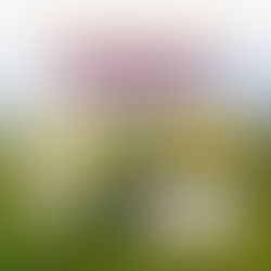 Presenting Sponsor – $5,000 – Medinah Shriners Charity Golf Outing 2026
