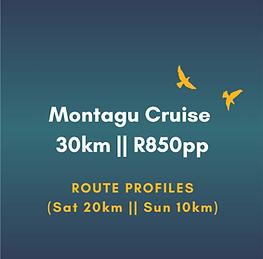 Montagu Website _ 2025.png