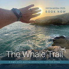 Nyati posts _ general-3.jpg