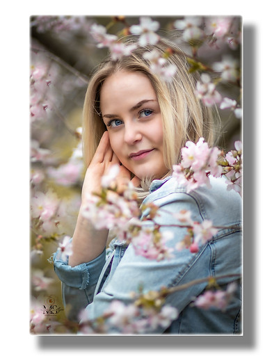 Kirschblütenshooting mit der lieben Francis