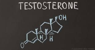 What Is The Role Of Testosterone And Other Hormones In Gambling?