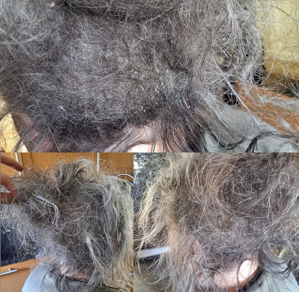 Screenshot_20240117_112051_Facebook~2