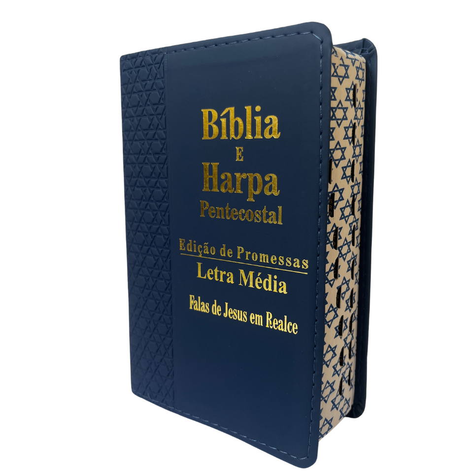 Bíblia Sagrada letra média, capa pelúcia, brochura