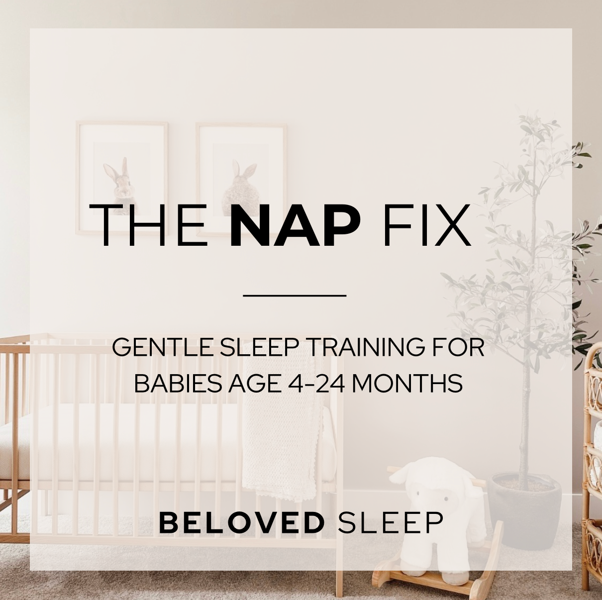 The Nap Fix: Ages 4-24 Months