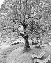 Grosser Baum mit Ruheplätzen