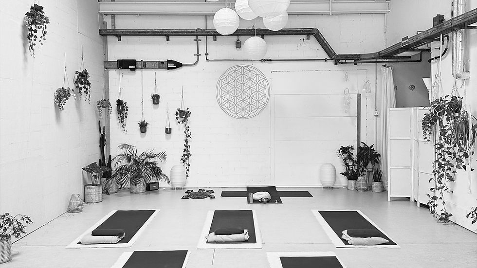 Einladender Yogaraum im My Yoga Garden in Aarau Suhr, gestaltet mit schlichten Yogamatten, sanfter Beleuchtung und grünen Pflanzen, die eine ruhige Atmosphäre schaffen.