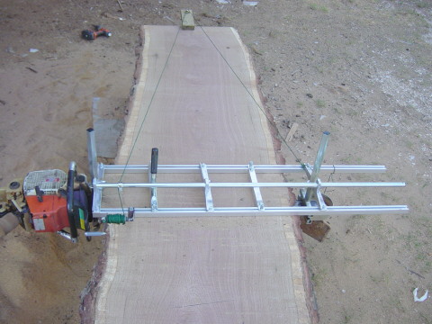 bur oak134.jpg
