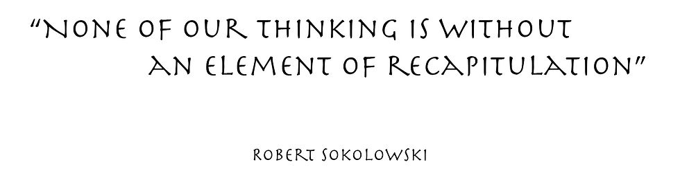 Quote from Robert Sokolowski