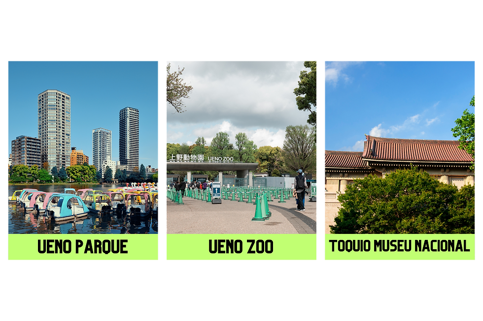 Foto das Ruas de Tóquio