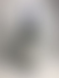 本日の買取実績☆洋酒　ナポレオン　サッシカイア　カルヴァドス