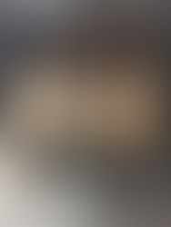 本日の買取実績☆ヴィトン パピヨン