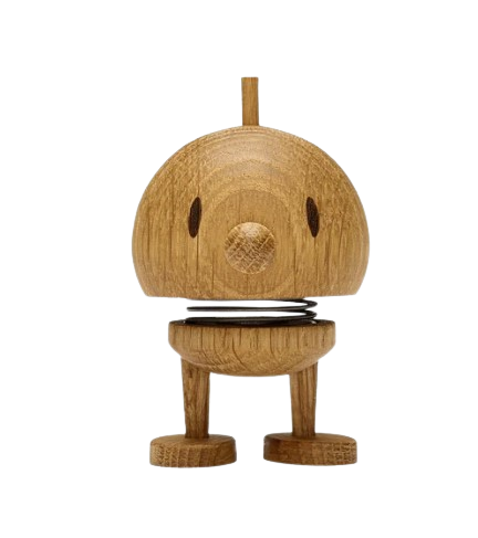 wooden spring toy