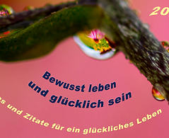 Bewusst leben und glücklich sein