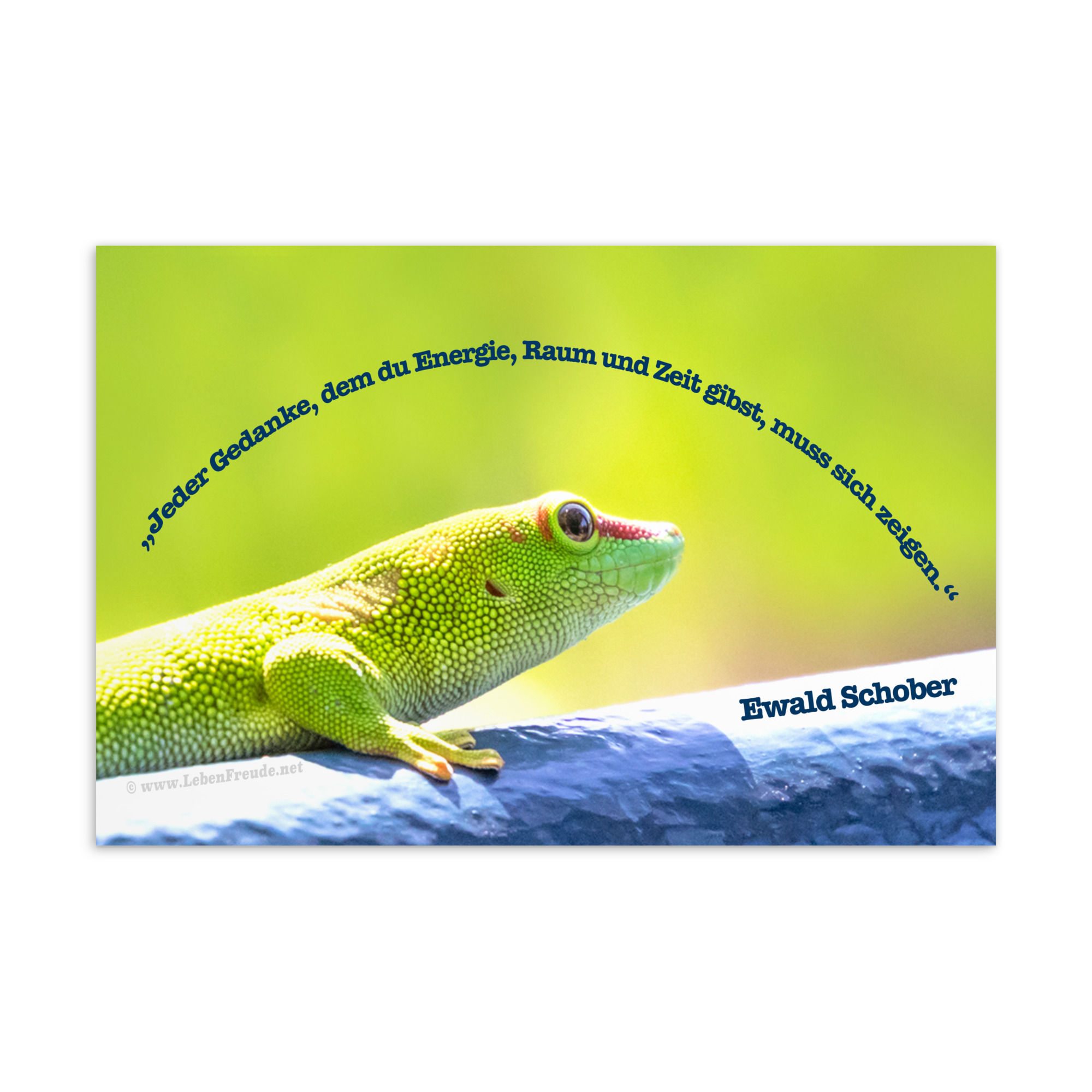 Schillernder Gecko – ein Meisterwerk tropischer Farben.