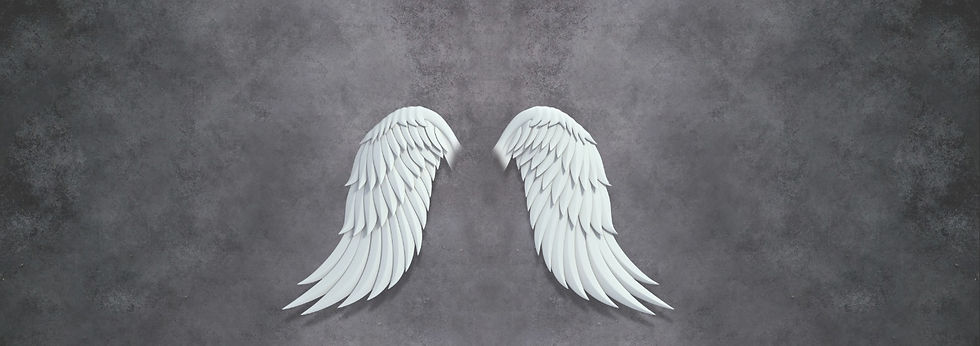 Cafe İçi Kanat Duvar Kağıtları | Kabartmalı White Angel Duvar Kağıtları