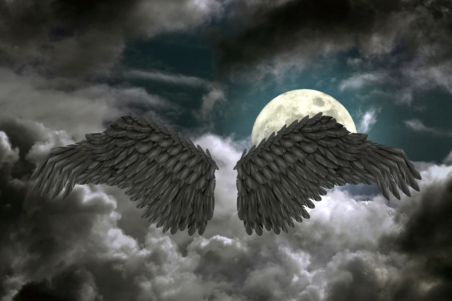 Kuaför Salon Melek Kanatlı Duvar Kağıdı | Cafe Melek Kanatlı Duvar Posterleri