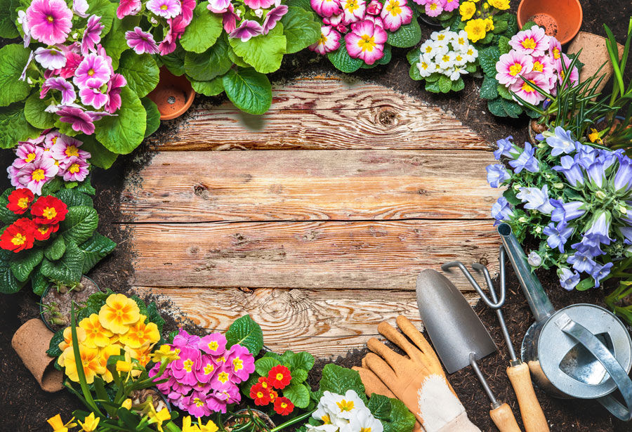 Çiçekli Ahşap Pencere Duvar Kağıtları | 3d Ahşap Günlüğü Duvar Kağıtları | İzmir
