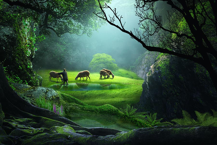 Dokulu Hayvan Çiftliği Duvar Kağıtları | Hd Bahar Orman Duvar Kağıtları