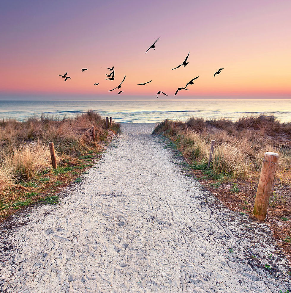 Deniz Manzara Duvar Kağıtları | 3 Boyutlu Manzara Duvar Kağıtları | Günbatımı​​​​​​​ Manzaralı Duvar Kağıdı