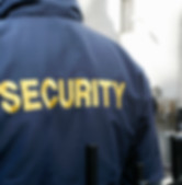 Negligent Security Perez Gurri Law